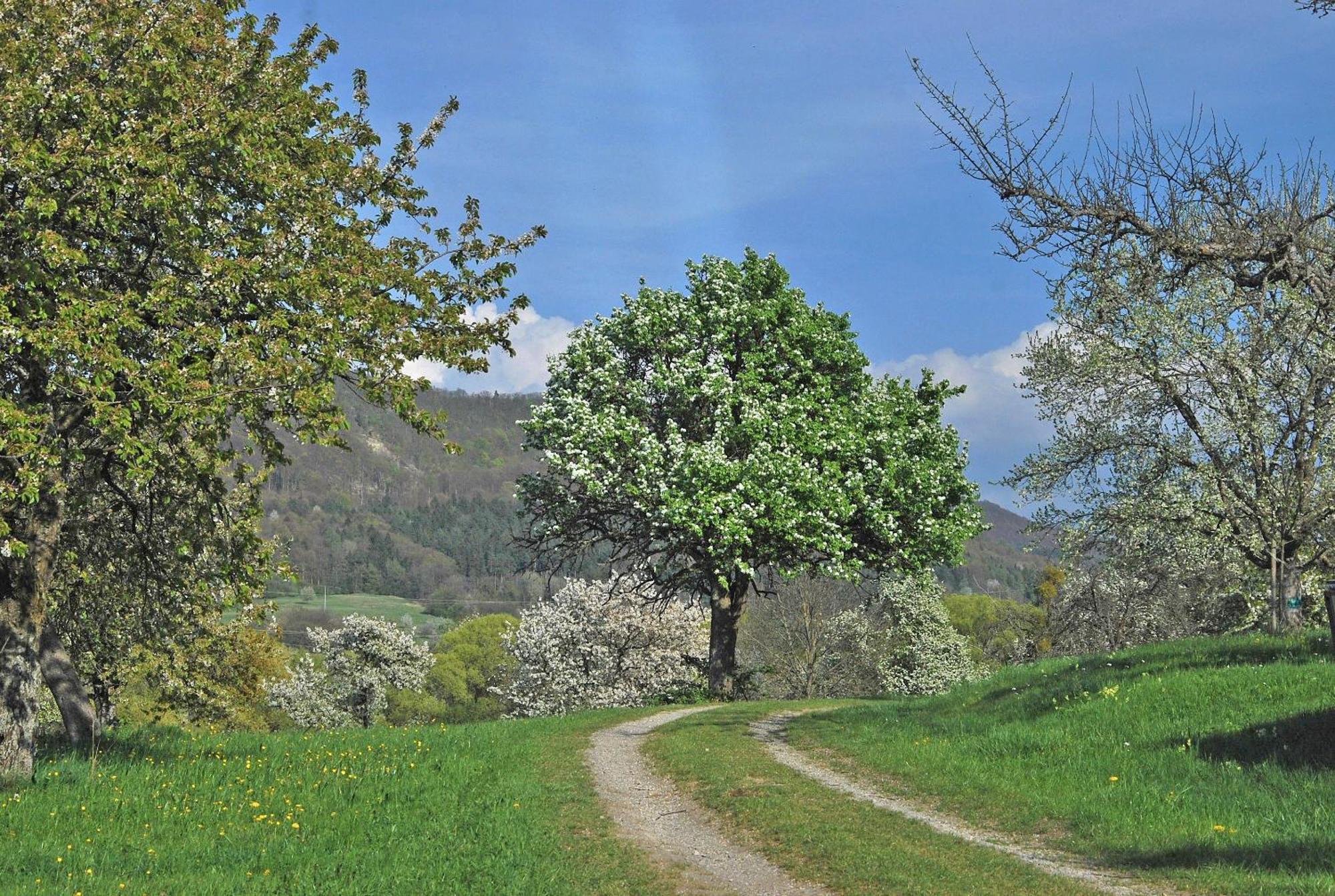 Ferienwohnungen Beim Imker Moessingen Luaran gambar